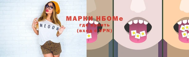 стаф Баксан