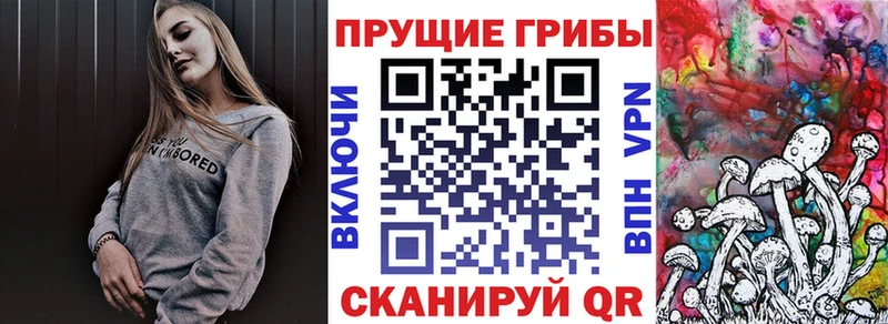 Галлюциногенные грибы Psilocybine cubensis  Белозерск 