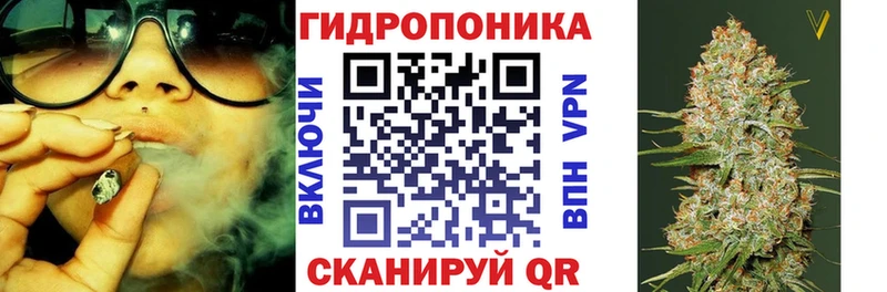 Шишки марихуана марихуана  продажа наркотиков  это клад  Белозерск 