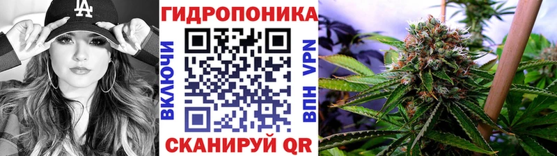 Конопля гибрид Белозерск
